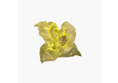 Бахилы желтые 4 гр. 40 микрон (мкм)